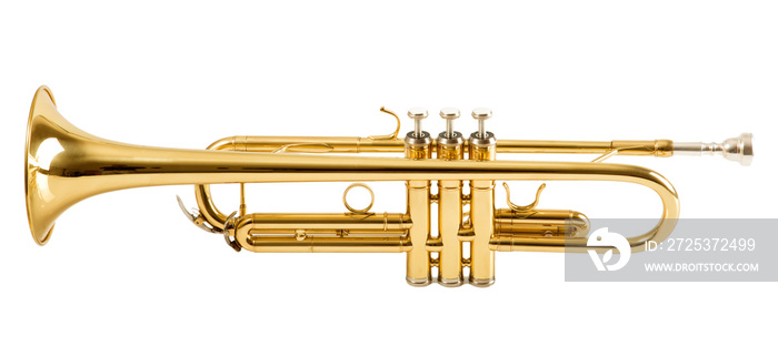 Trumpet on white background