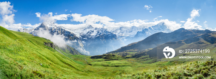 施韦泽阿尔卑斯全景在格林德沃和伯纳Oberland