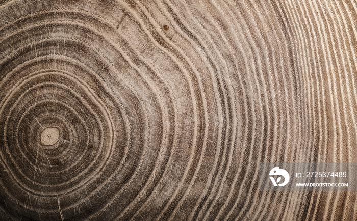 被砍伐的树桩——有年轮的树干部分。片木头。