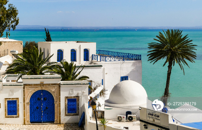 Die blaue Stadt Sidi Bou Said