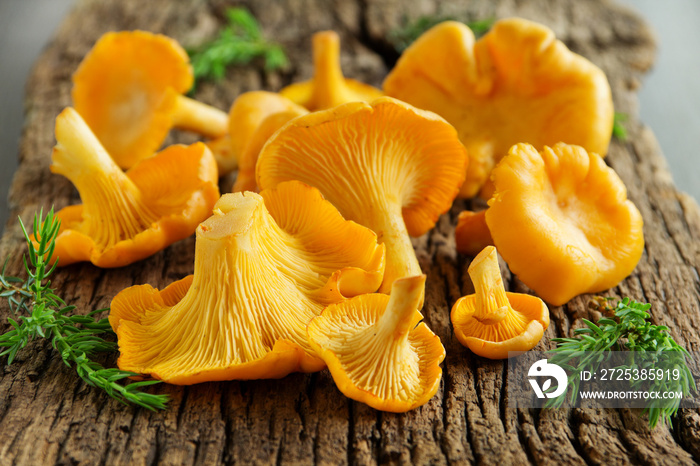 Chanterelles