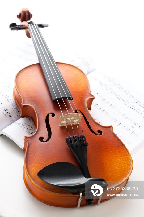 乐器:小提琴