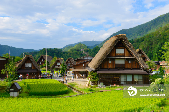 夏天的历史村庄白川阁