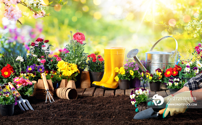 园艺-在阳光明媚的花园的园丁和花盆的设备