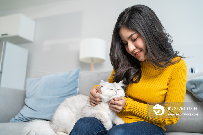 Asian woman holding and play with little cat with happiness at home.