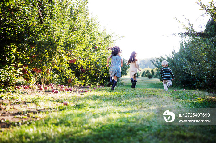 Rear view of kids (2-3, 6-7, 8-9) running in orchard