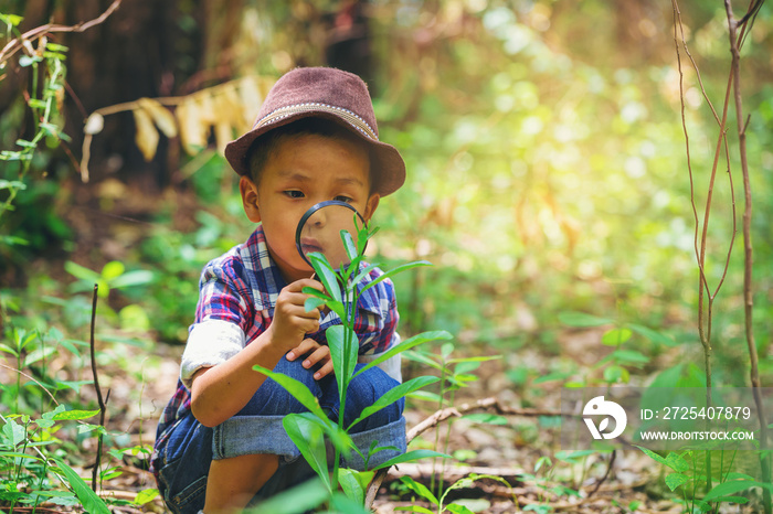 Happy little boy with magnifying glass explorer and learning the nature at home backyard