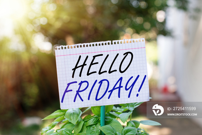 显示Hello Friday的文字标志。显示商务照片让周末开始，是时候放松了