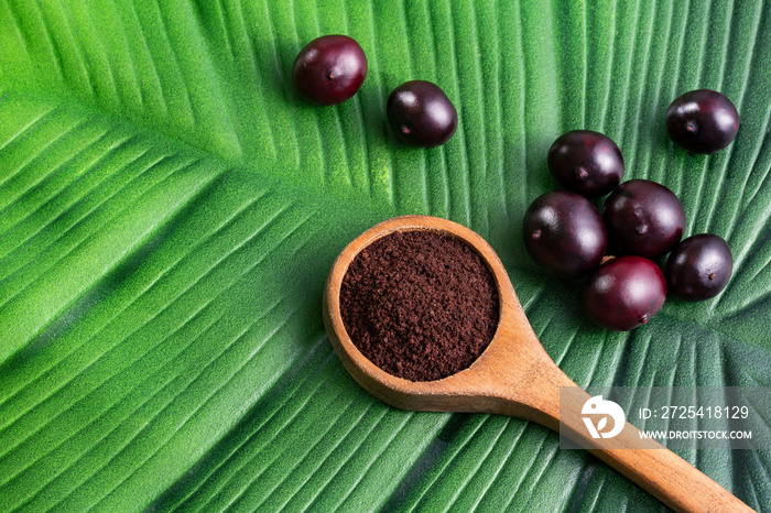 Euterpe oleracea - Acai berry powder in spoon