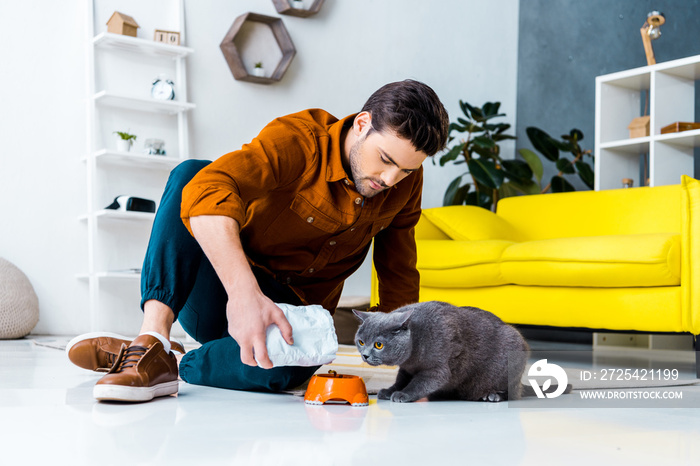 young man feeding grey british shorthair cat in living room