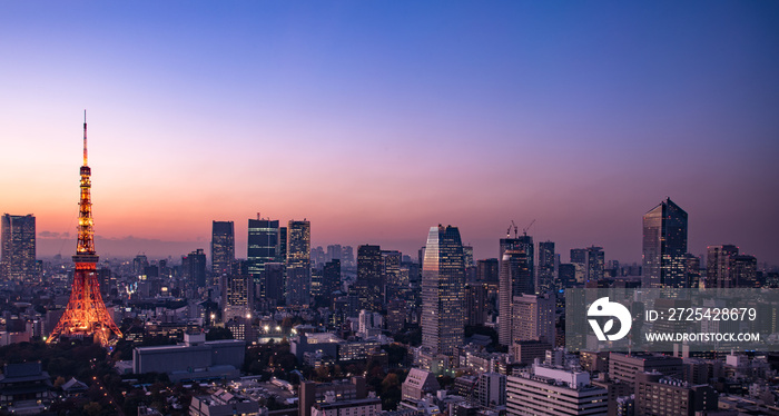 黄昏的东京城市景观