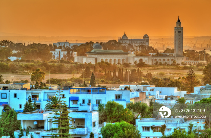 View of Sidi Bou Said and Carthage near Tunis, Tunisia