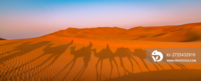 Panoramic view of camel ride in the desert. Shadow of camels in the desert sand at sunrise. Adventur