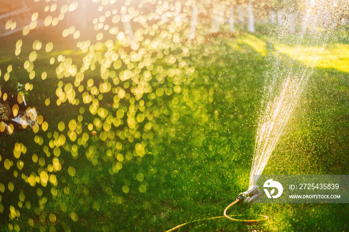 自动喷水灭火器用于灌溉草坪。洒水系统用于灌溉草坪