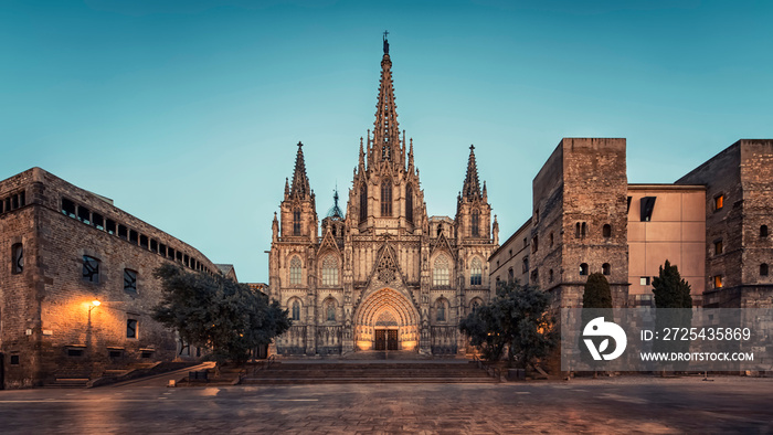 Barcelona Cathedral in the evening, Spain