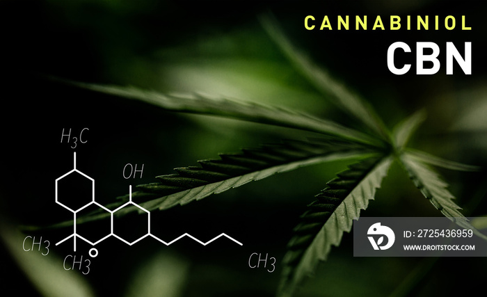 CBN分子式。绿色背景下的大麻酚分子结构。
