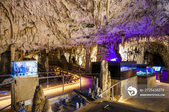 斯洛文尼亚Postojna洞穴。洞穴内有钟乳石和石笋。微光图像。