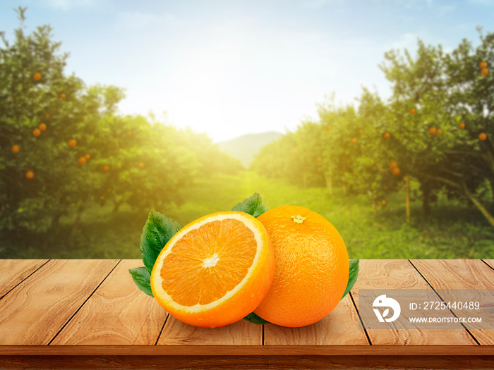 木桌上有水果的新鲜橙汁和阳光下有水果的橙子种植园