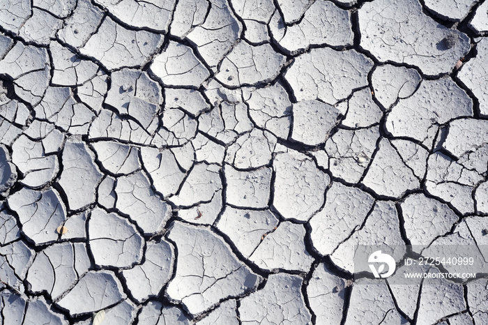 cracked soil background