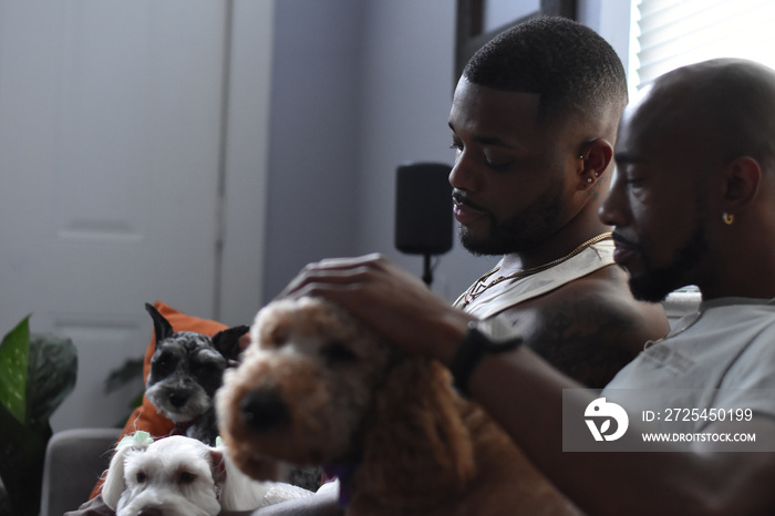 USA, Louisiana, Gay couple with dogs relaxing on sofa