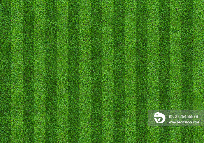 Green grass field background for soccer and football sports. Green lawn pattern and texture backgrou