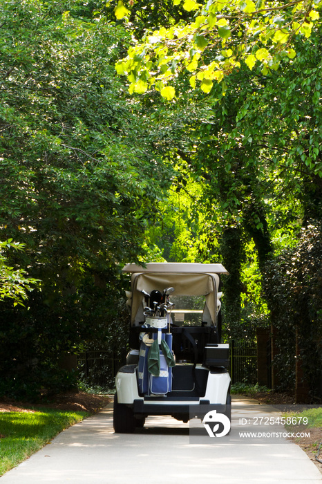 Golf cart on cement path