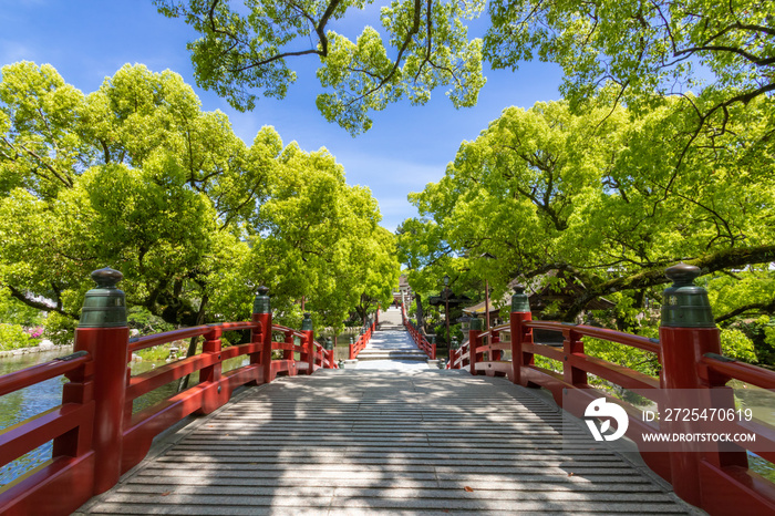 太宰府天満宮　福岡県太宰府市　Dazaifu Tenmangu	Fukuoka Dazaifu city