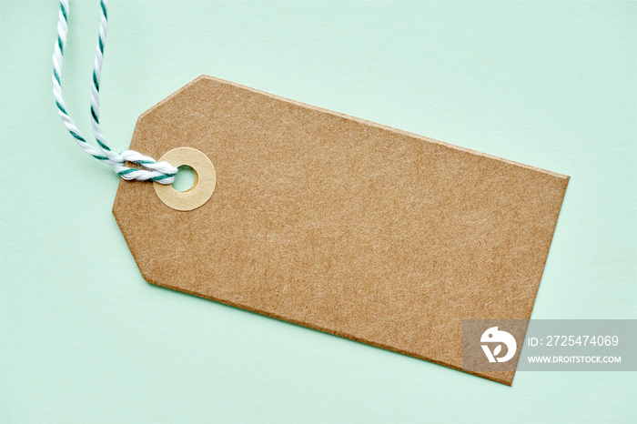 Blank brown gift tag with geen and white twine. Kraft carton label on light green background with co