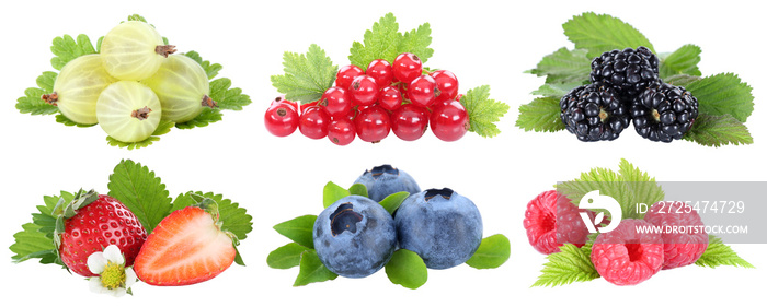 Sammlung Beeren Erdbeeren Blaubeeren Himbeeren rote Johannisbeeren Früchte isoliert Freisteller frei