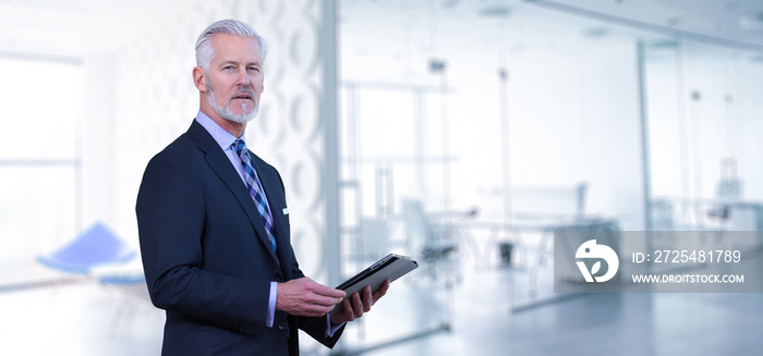 Senior businessman in his office