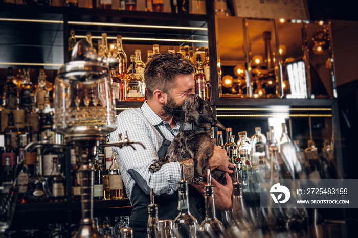 Cheerful bar owner have nice time with his pet small bulldog. Bottles and glasses at background.