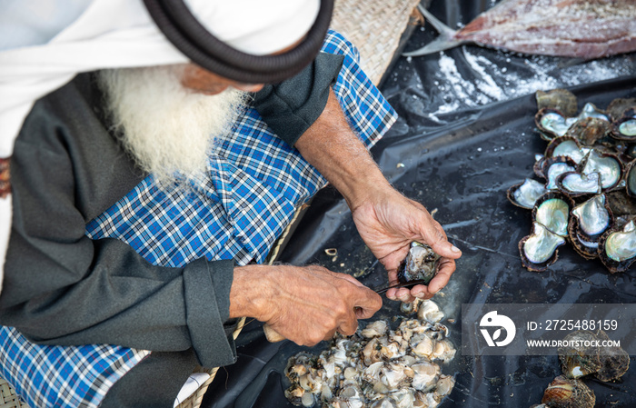 old man looking pearls in oysters