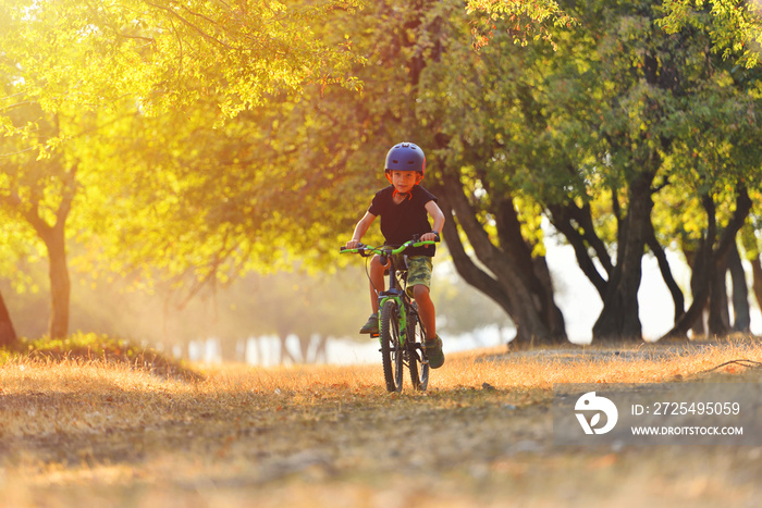 快乐的7岁男孩，在美丽的秋天骑着自行车在秋季公园玩得很开心。活泼的孩子