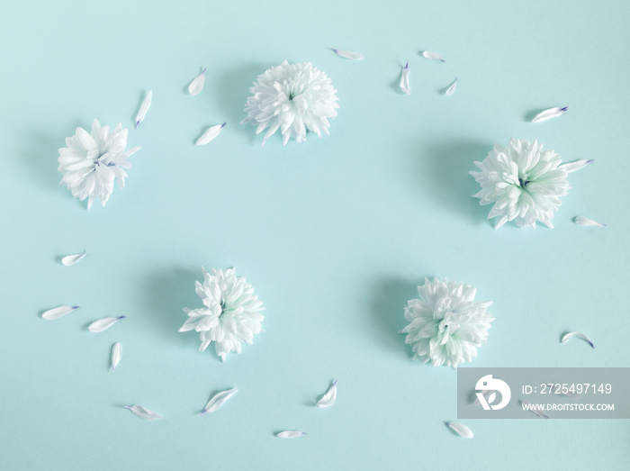 婴儿蓝背景上的白色雏菊花朵和花瓣的圆形框架。时尚的极简花卉conc