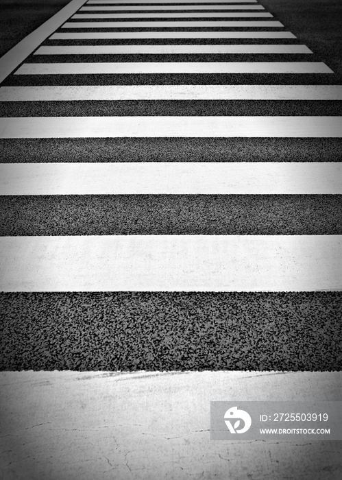 Crosswalk, Tokyo, Japan