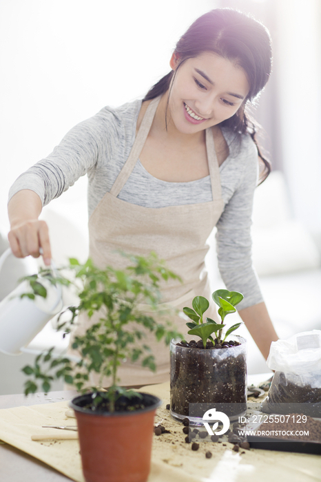 年轻女子在家种植盆栽