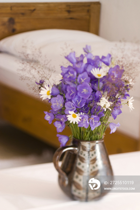 Italy, Trentino Alto Adige, Barbiano, Flowerpot Detail of a bedroom at Hotel
