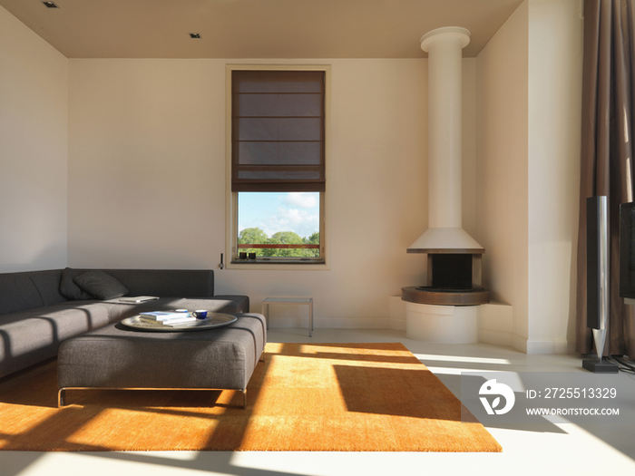 Orange rug with brown sofa set in spacious living room at home