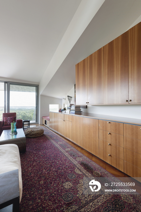 Cabinets in living room