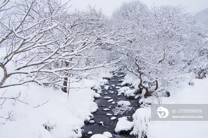 雪后小溪