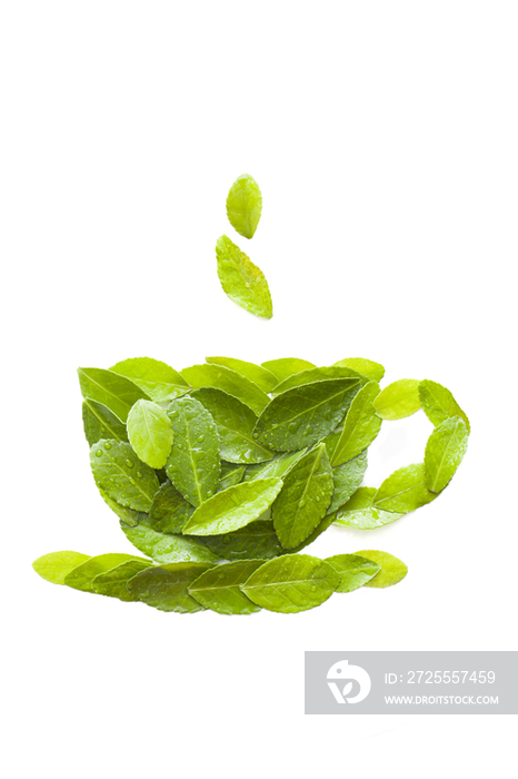 绿叶摆成的一杯茶