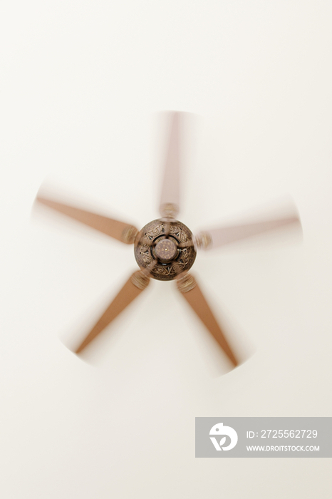 Indoor Ceiling Fan