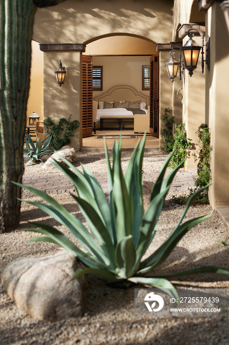 Cactus plant in garden pathway with view of bedroom through open doors; Scottsdale; USA