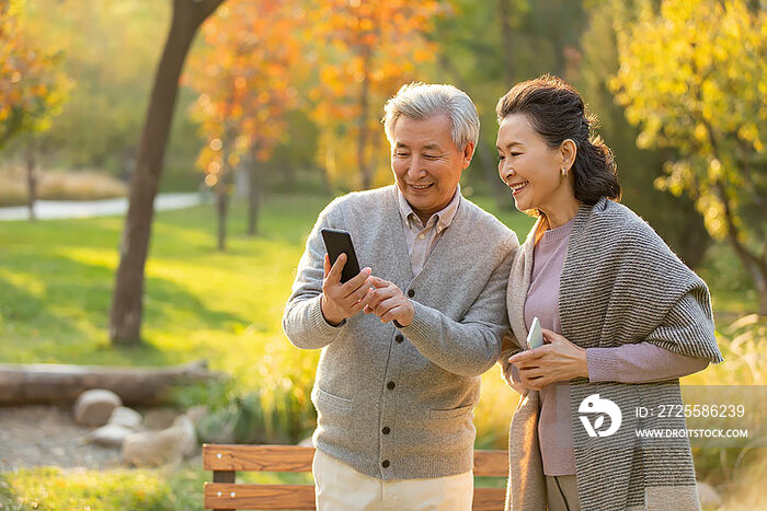 老年夫妇在公园使用手机