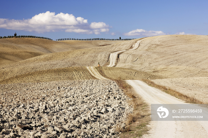 Dirt Road