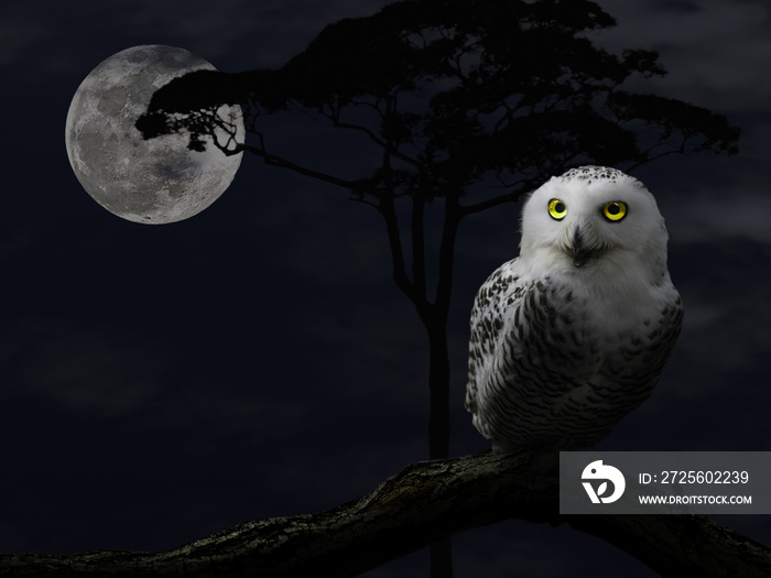 满月之夜，猫头鹰坐在树枝上，有一双发光的黄色大眼睛