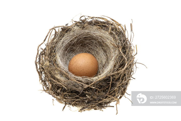 birds nest isolated