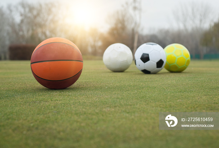 Various sports balls on grass field