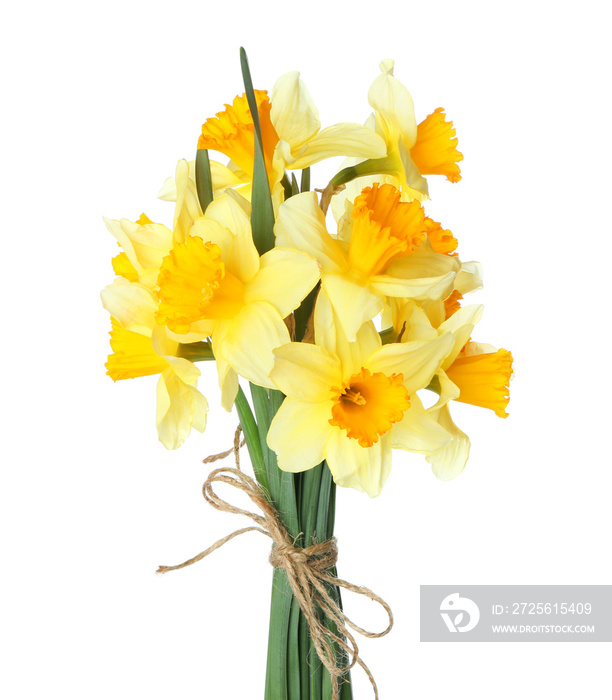 Bouquet of beautiful daffodils on white background