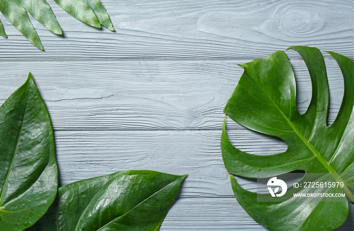 Composition of tropical leaves on wooden background